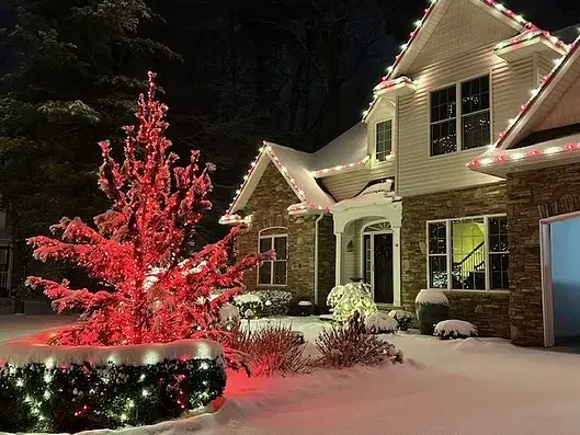 Holiday lighting on a snowy home and tree